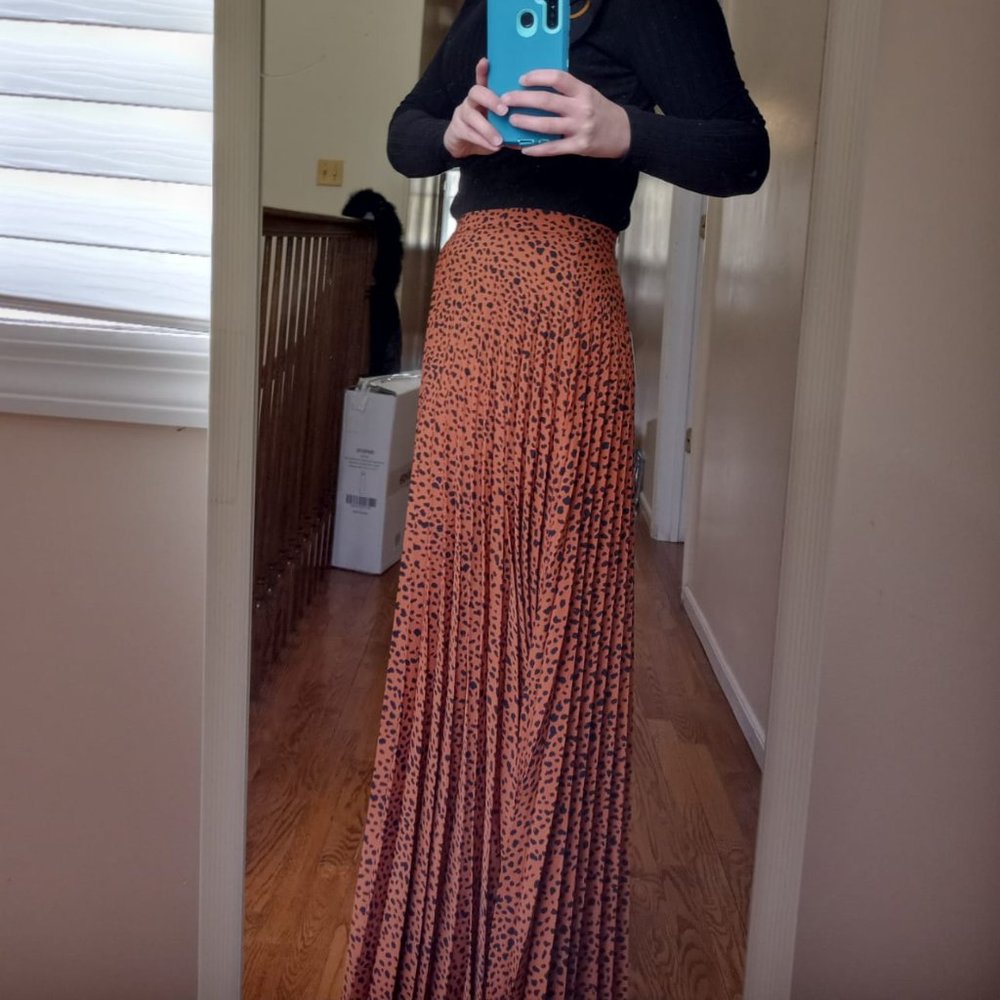Beautiful Pashmina Collection Pleated Maxi Skirt